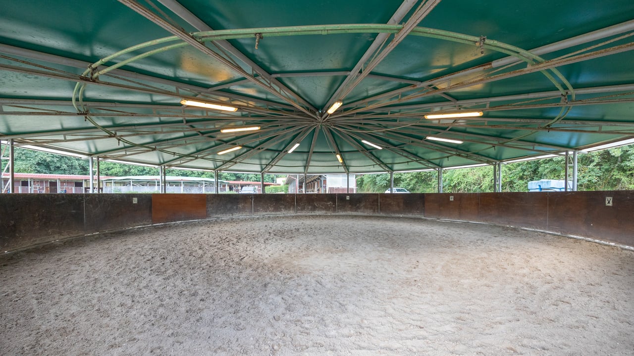TENUTA CAVALLI CELTI