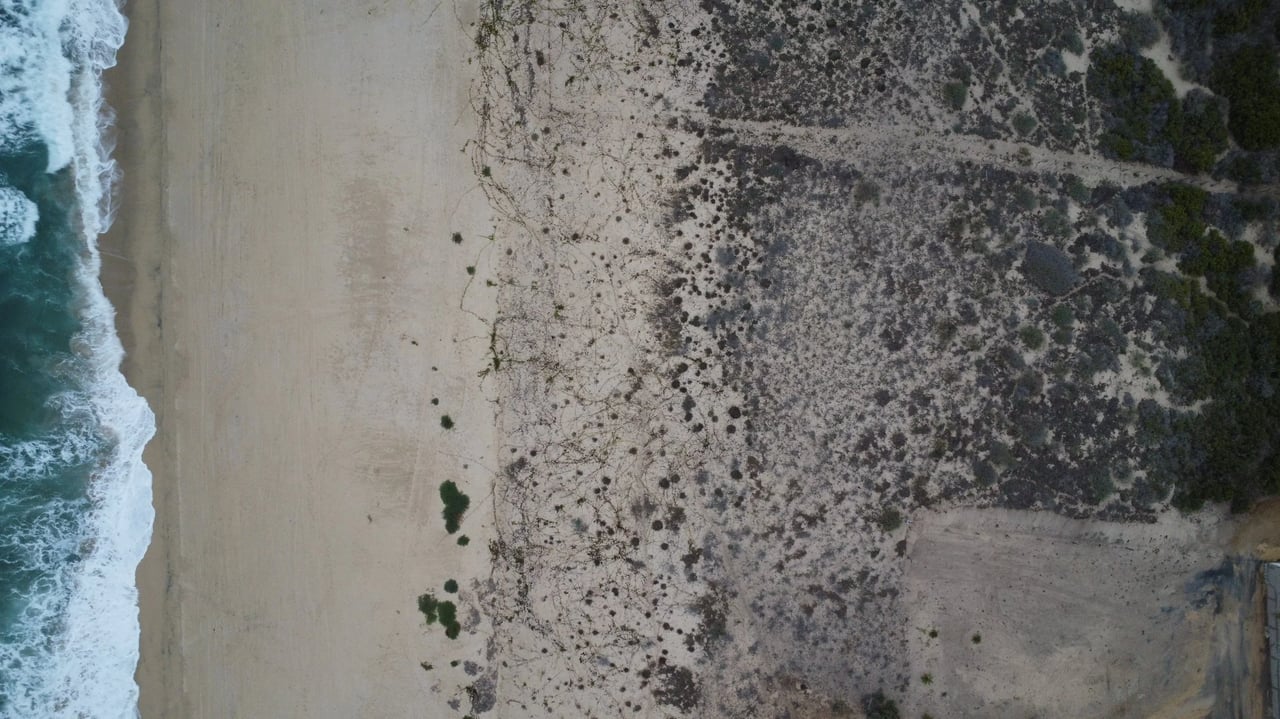 Ellias Calles Beachfront 2.2