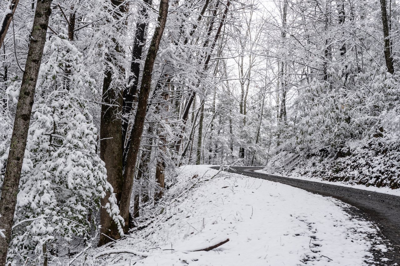 A winding road with after snow vignette realty