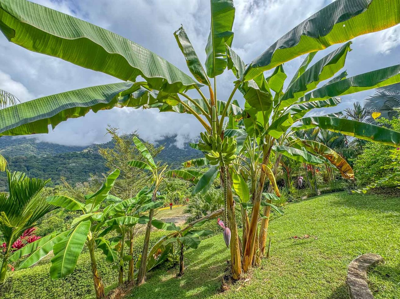 Ocean, Jungle & Mountain View Home in Ojochal | Protected Jungle Setting