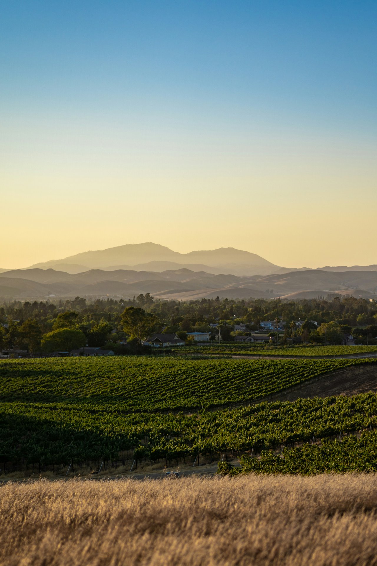 Santa Ynez