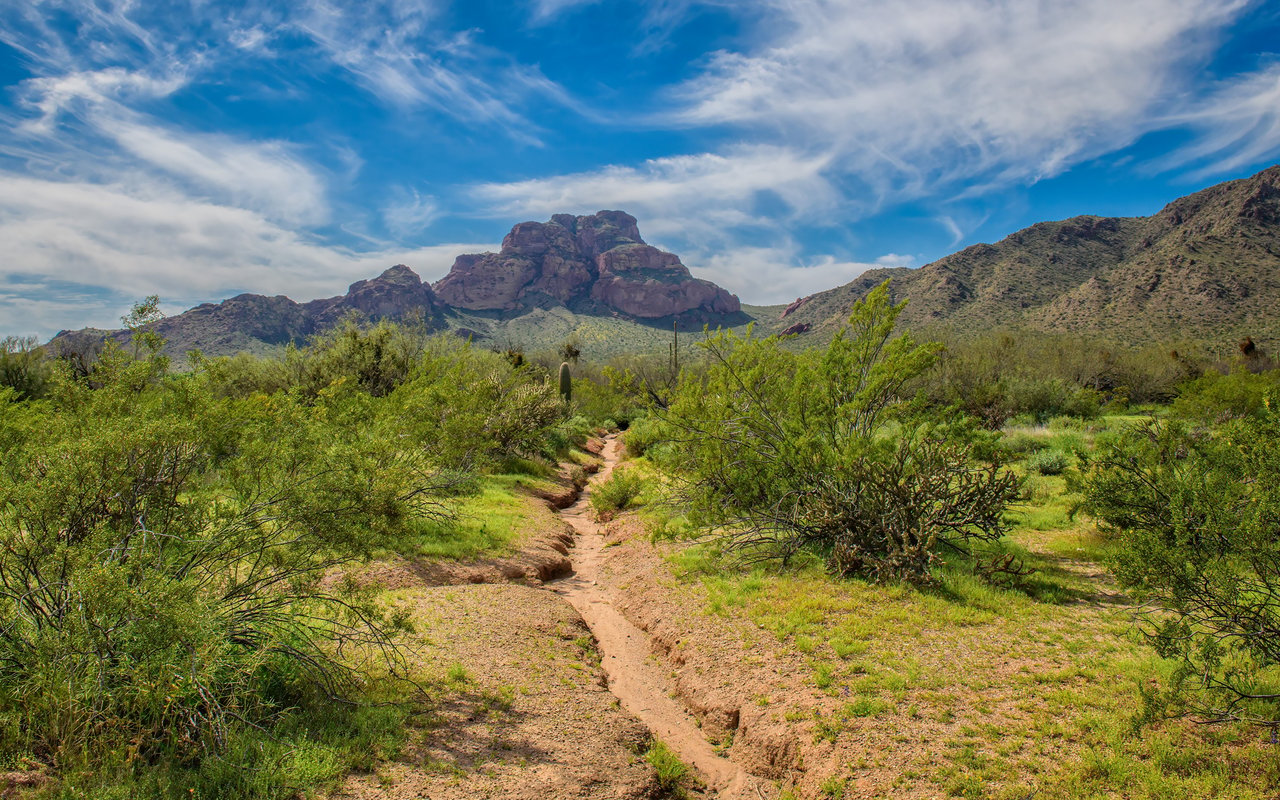 Desert Mountain