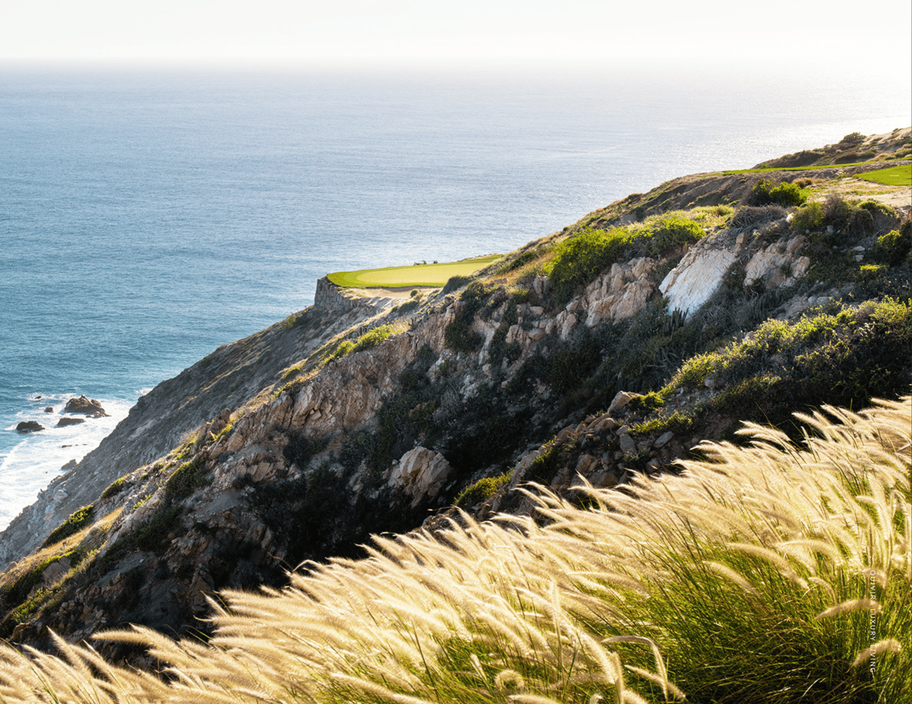 Golf green on a rocky ocean bluff, framed by golden grasses and coastal vegetation.