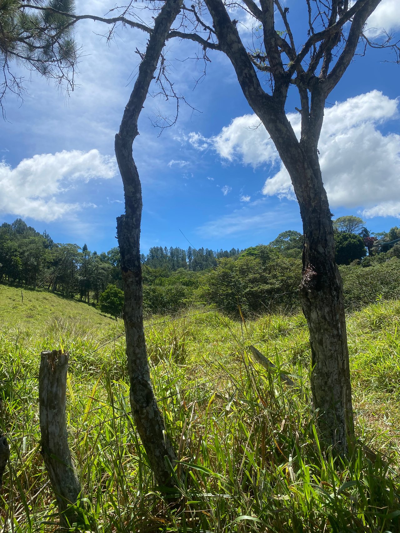 54 Acre Ranch in San Vito, Coto Brus