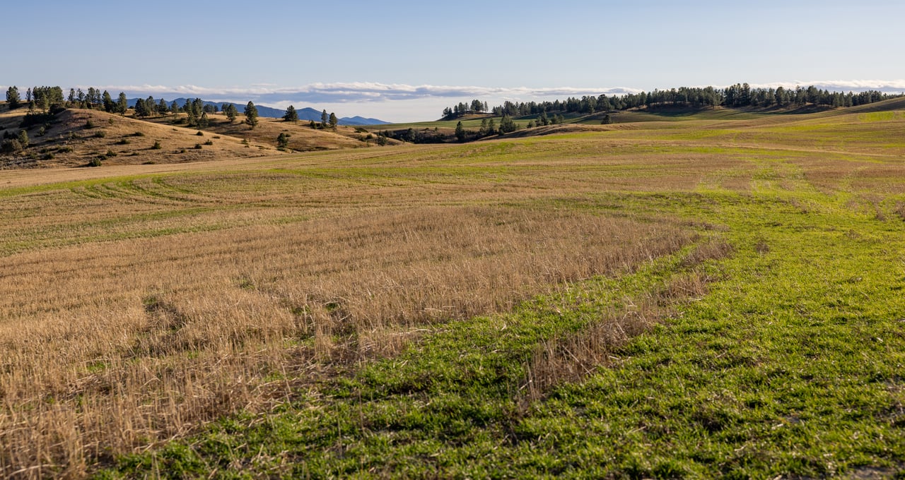 Salt Creek Ranch
