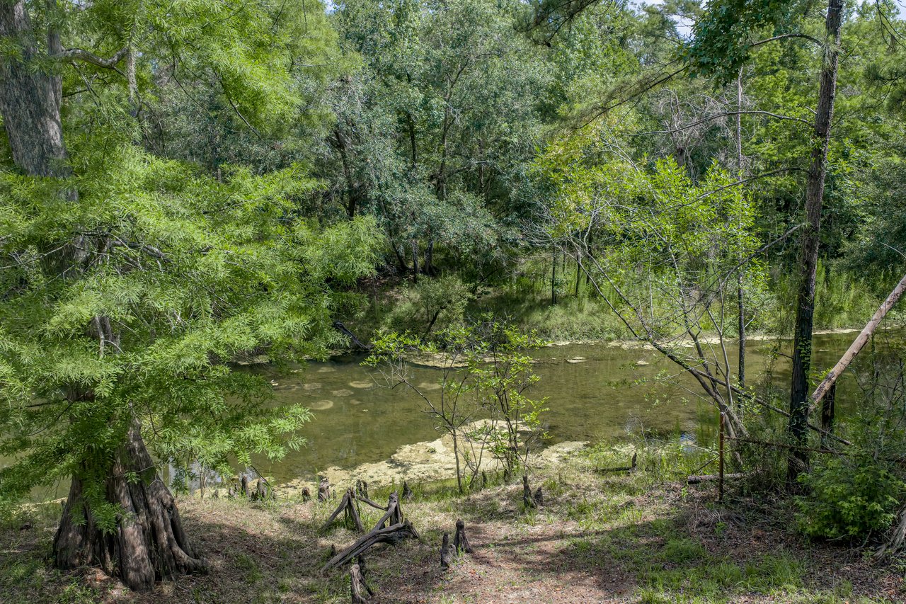 33065 CEDONIA RD