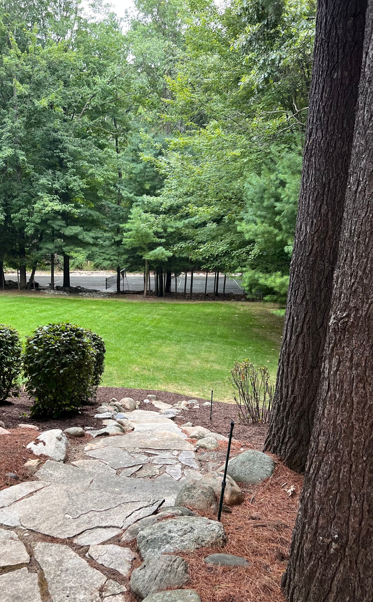 12172 Woodline