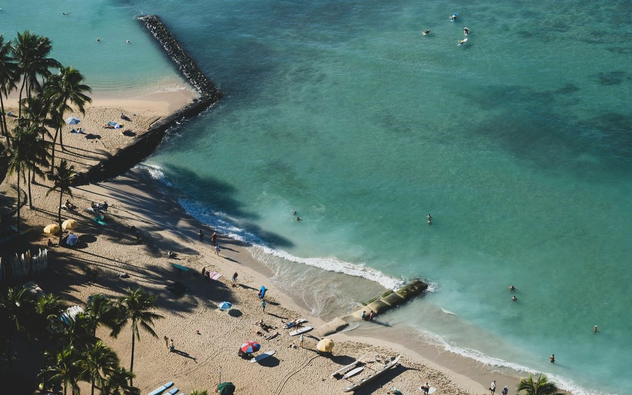 Palm-lined beach with swimmers and surfers in turquoise water beside a rocky breakwater.