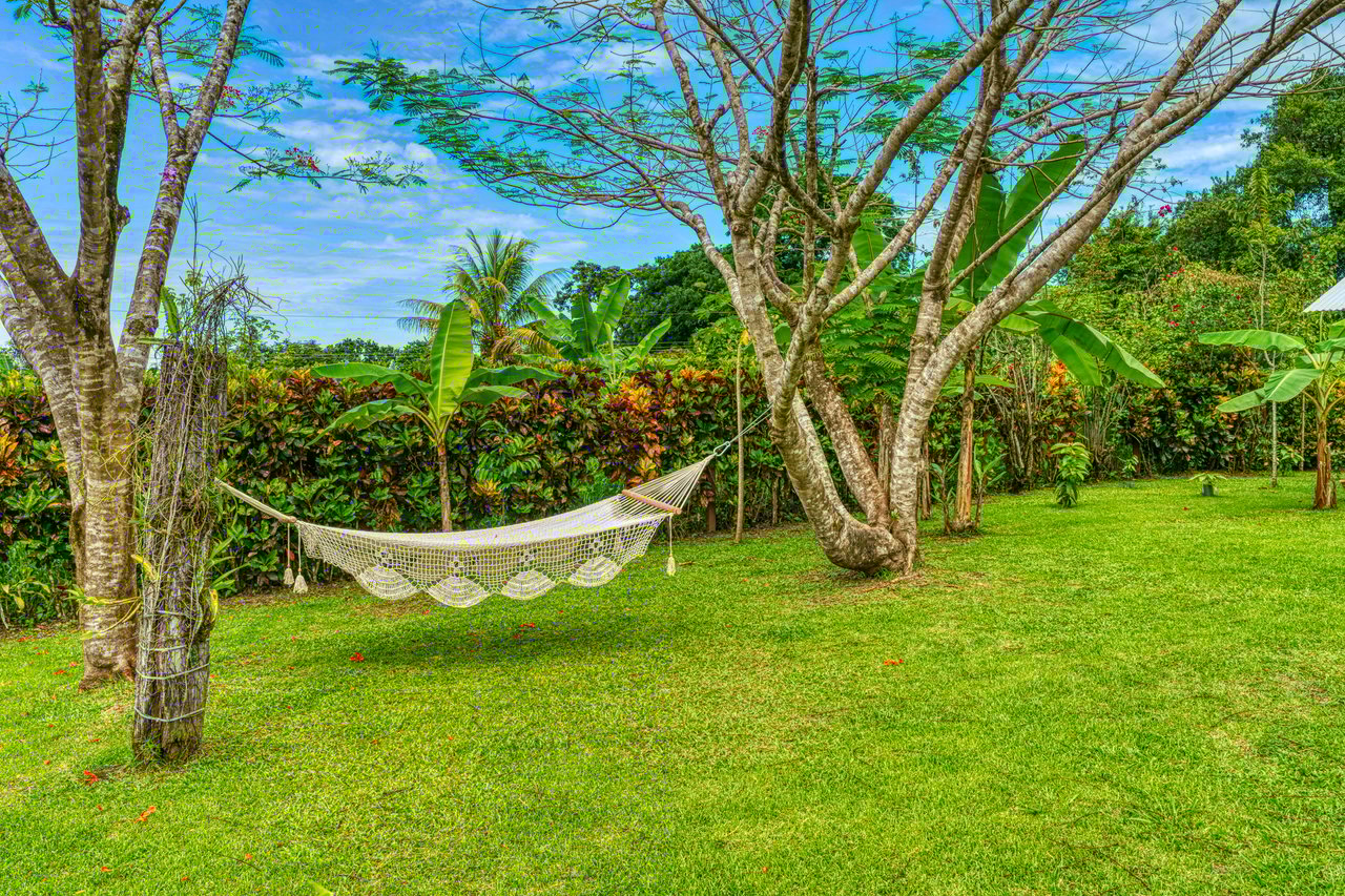 Casa Colibri - Easy Access, Beautiful, Private Lot