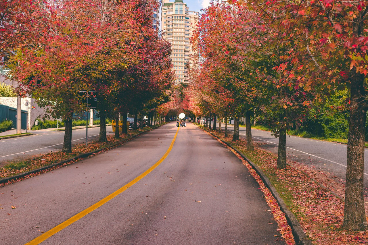 The Ultimate Guide to Living in Clifton, VA