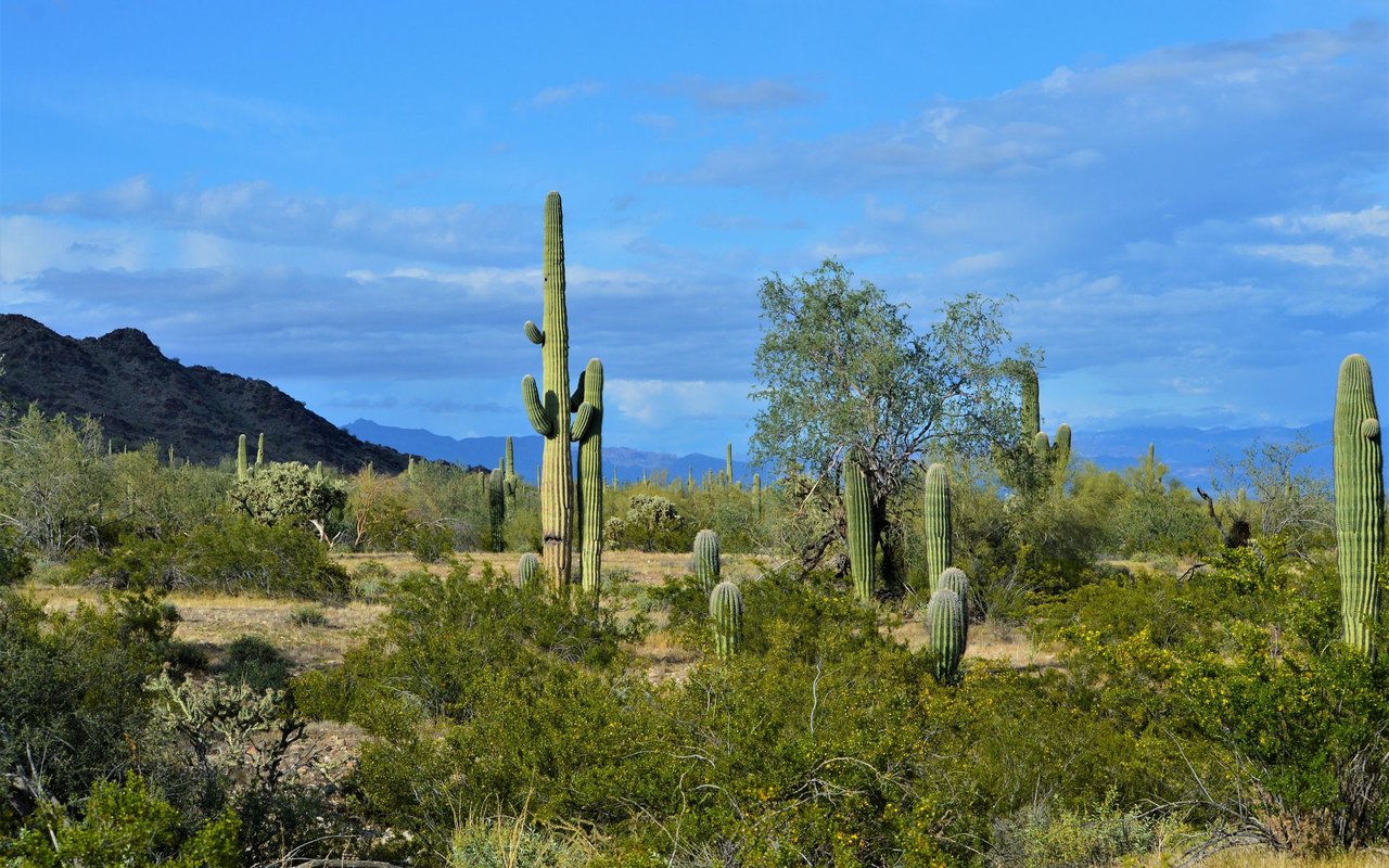 San Tan Valley