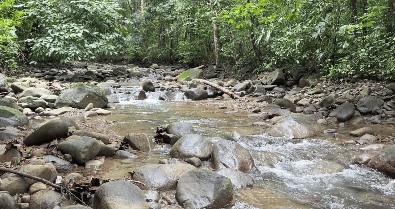 Ready to Build Ojochal Land with Riverfront 1.5 Acres, Residential and Commercial Possibilities!