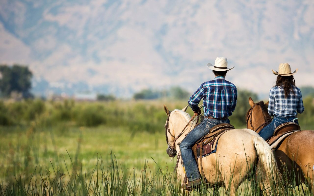 Farm Property Services