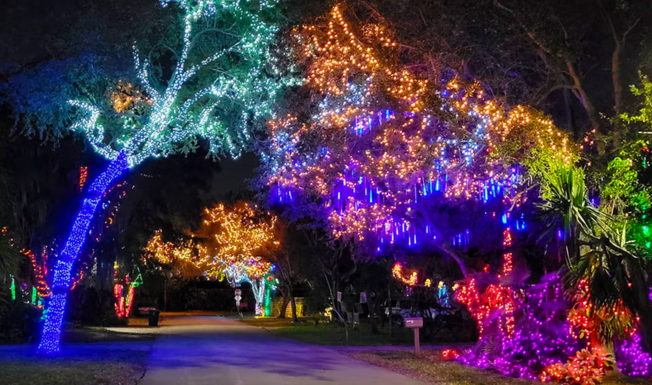 Where to See the Best Christmas Lights in West Broward