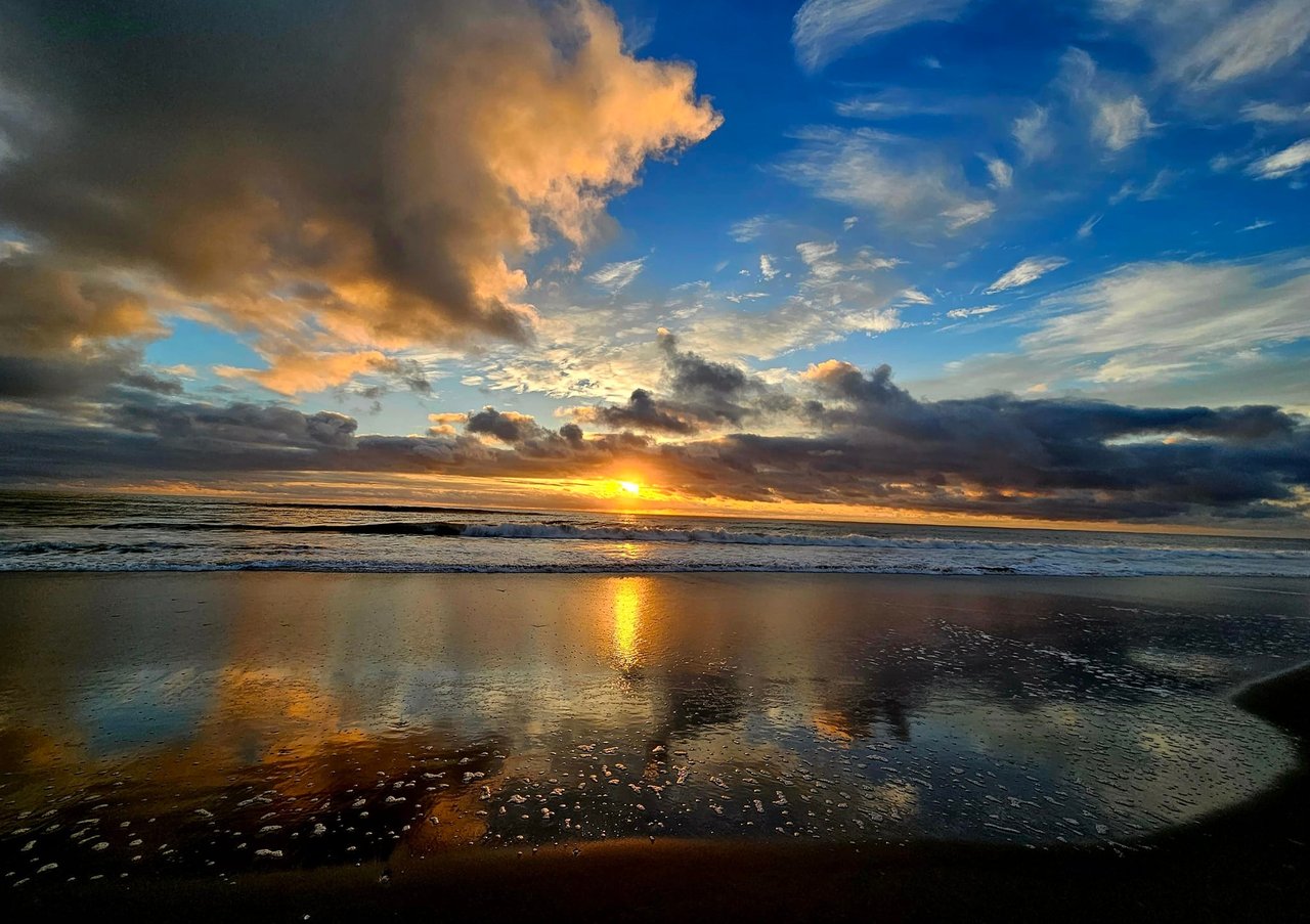 contact-form-background