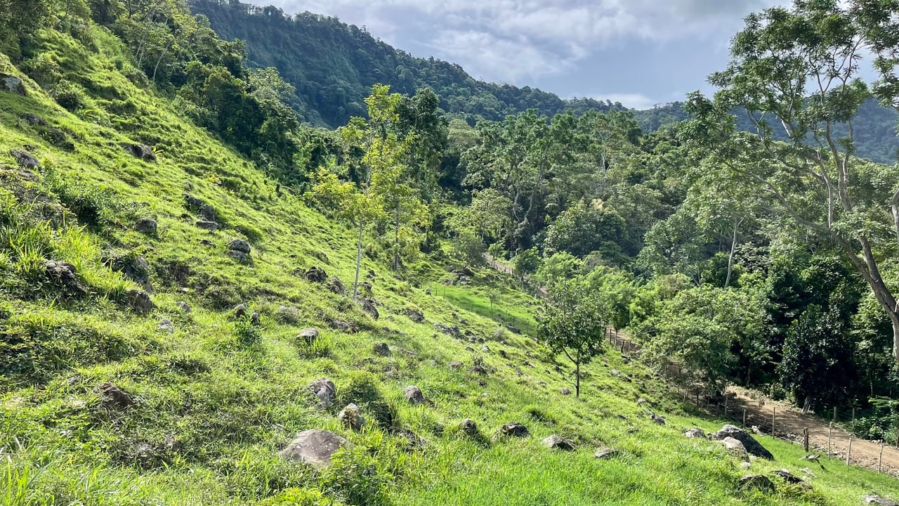 Stunning Ocean View Farm in San Luis de Morete, Over 23 Acres