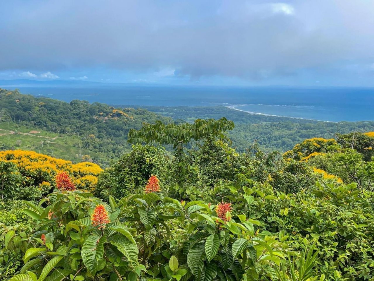 The Ultimate Sustainable Legacy, 360-degree Breath-taking Views Sea Ridge Reserve