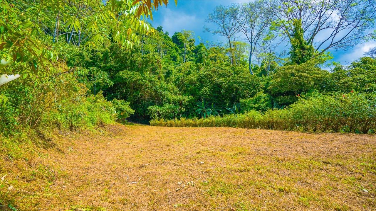 Flat Buildable Ocean View Lot, Ojochal, Puntarenas