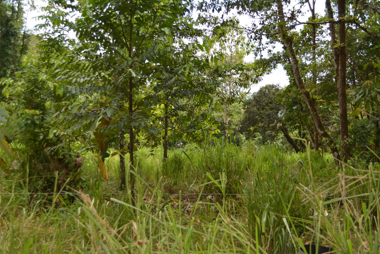 Home on 73.8 Acres Of River Frontage Flat Usable Land Ideal For Sustainable Living  