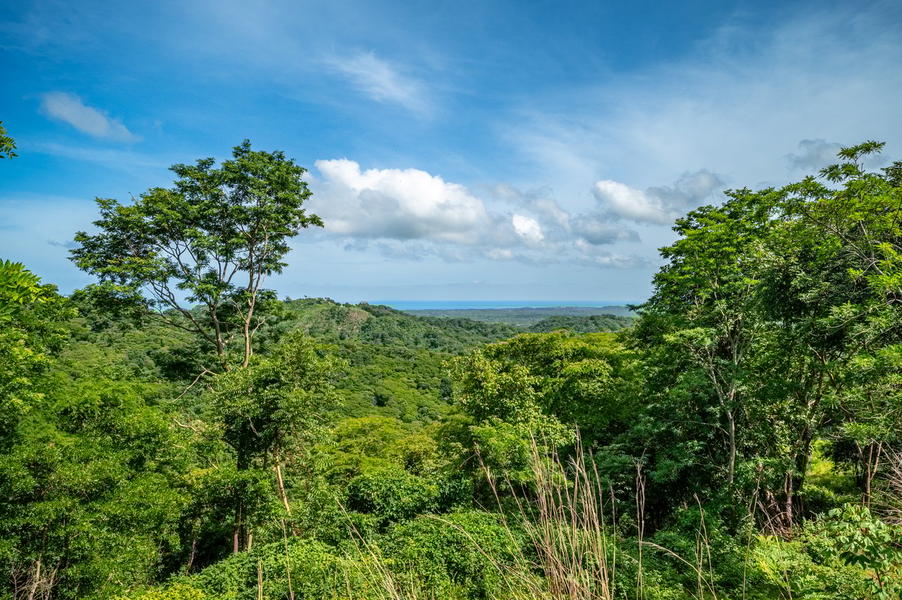 The Enclave At Los Cielos | Ocean & Mountain View Lots Near Playa Avellanas – From $85,000 to $275,000