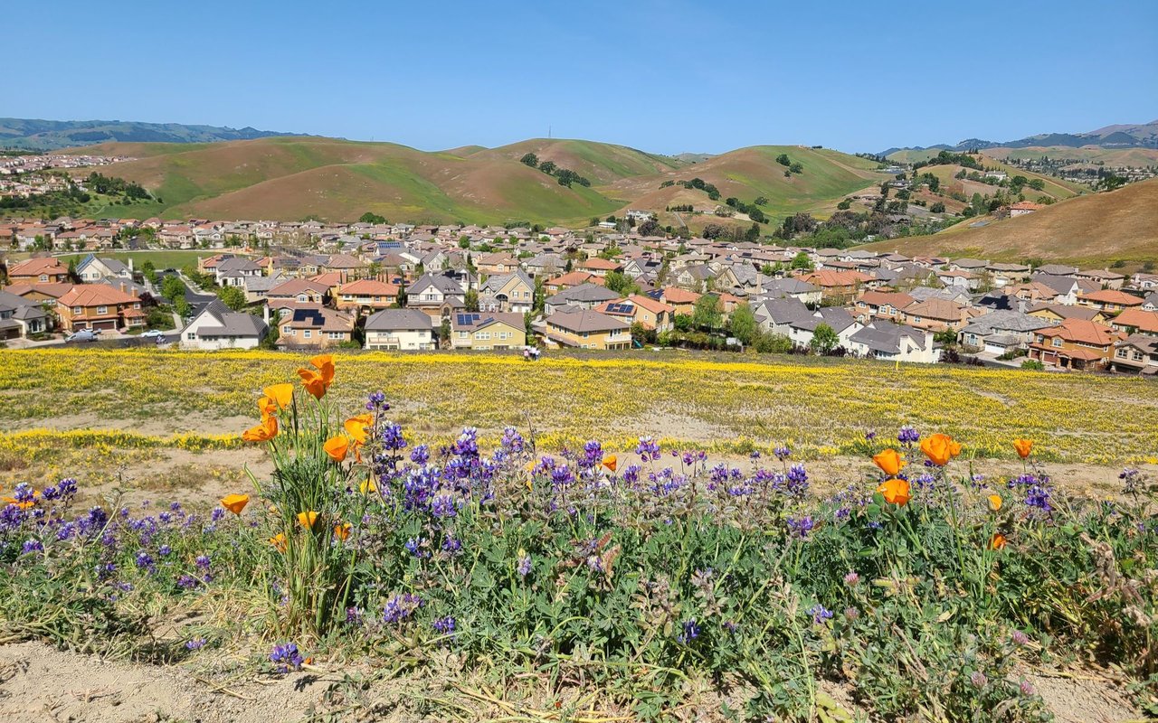 Livermore