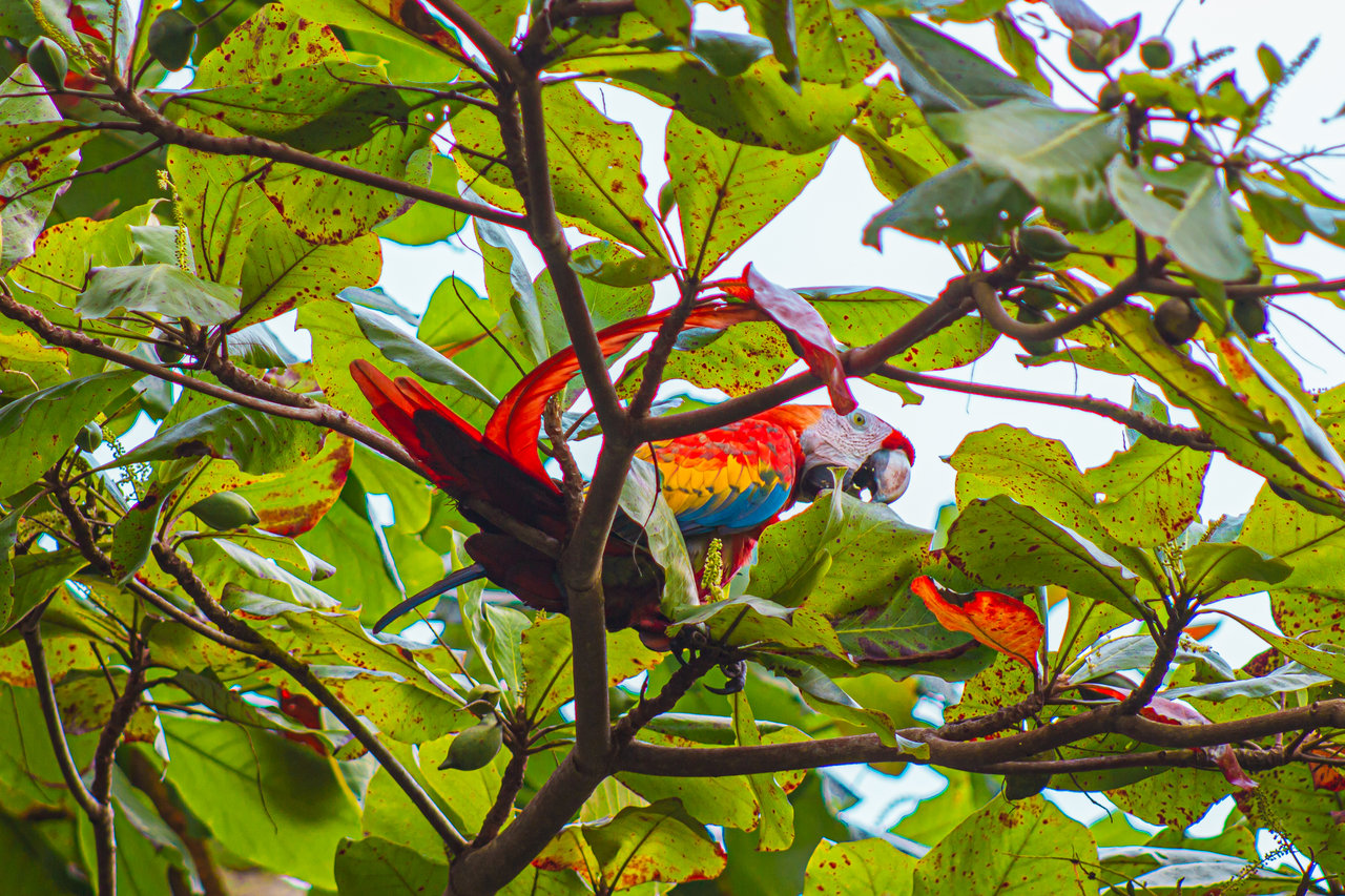 Nido Escondido