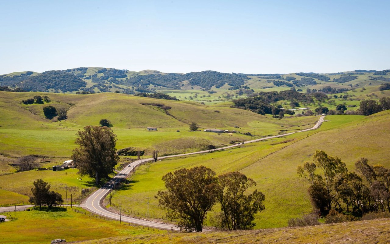 Petaluma
