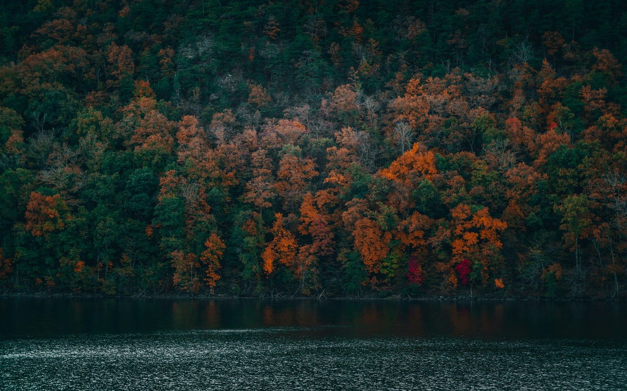 LaFollette