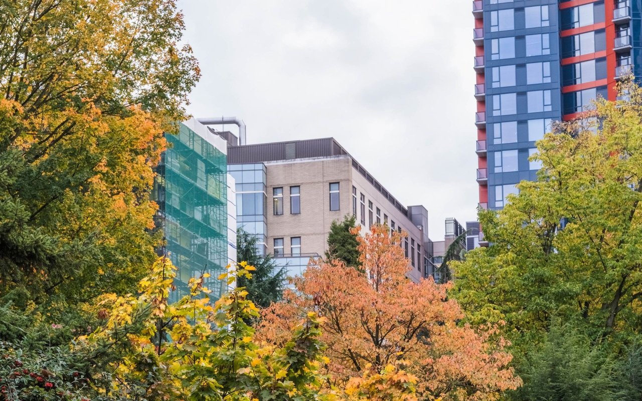 The Seattle Rennie Review | October 2024