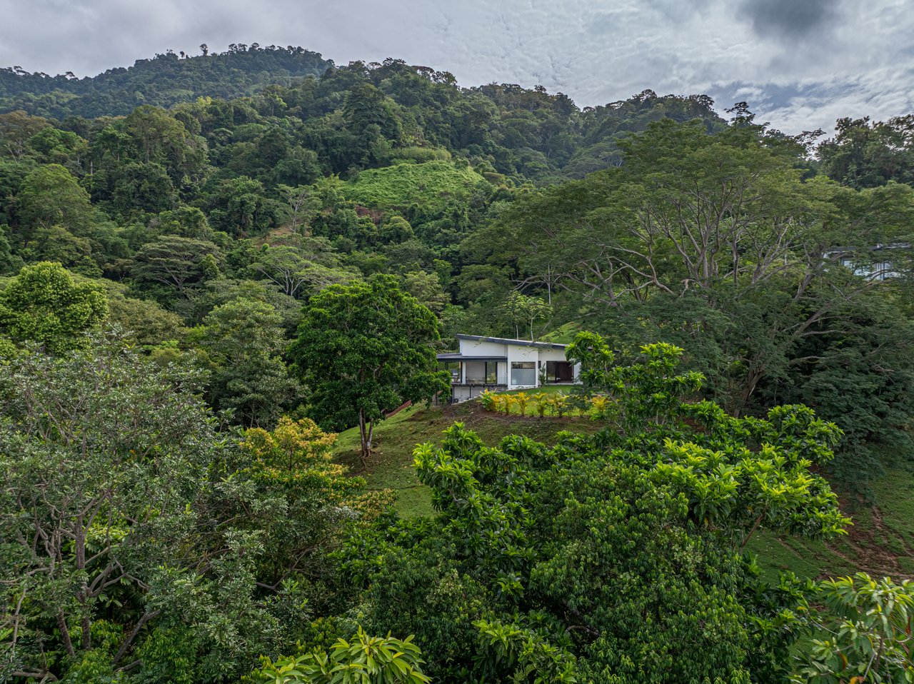 Modern Tropical Home at Las Colinas #23