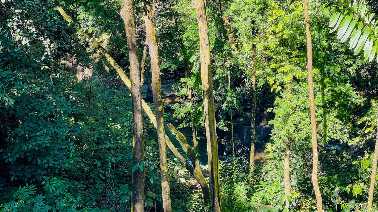 Nature Retreat Estate – Southern Pacific Zone, Costa Rica