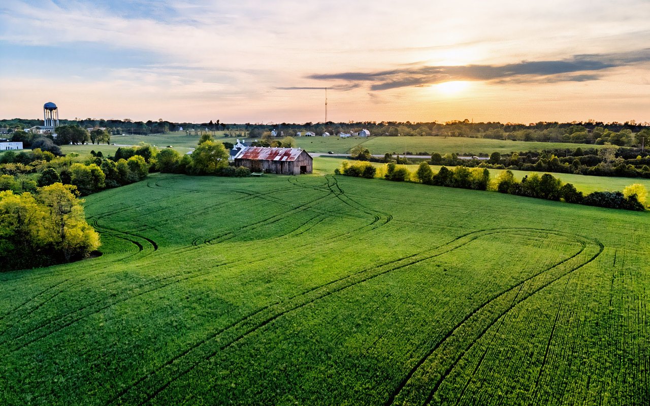 Nicholasville