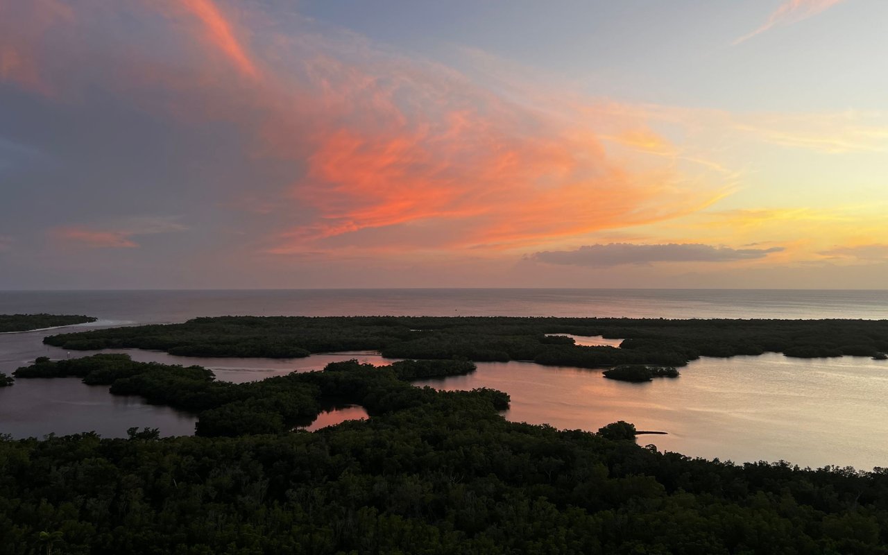 Kalea Bay