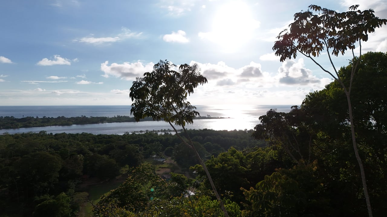 Stunning Ocean  and Terraba River view property in Ojochal