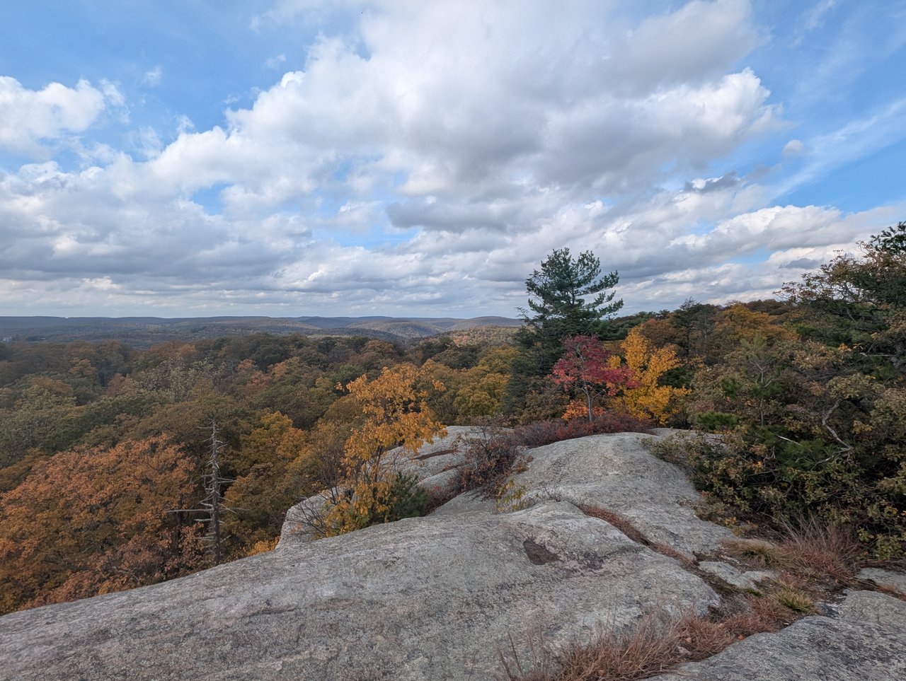 Key Conservation Organizations in the Hudson Valley