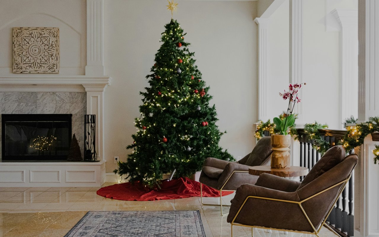 5 Things to Do with Your Christmas Tree After the Holidays—and 4 Things to Skip