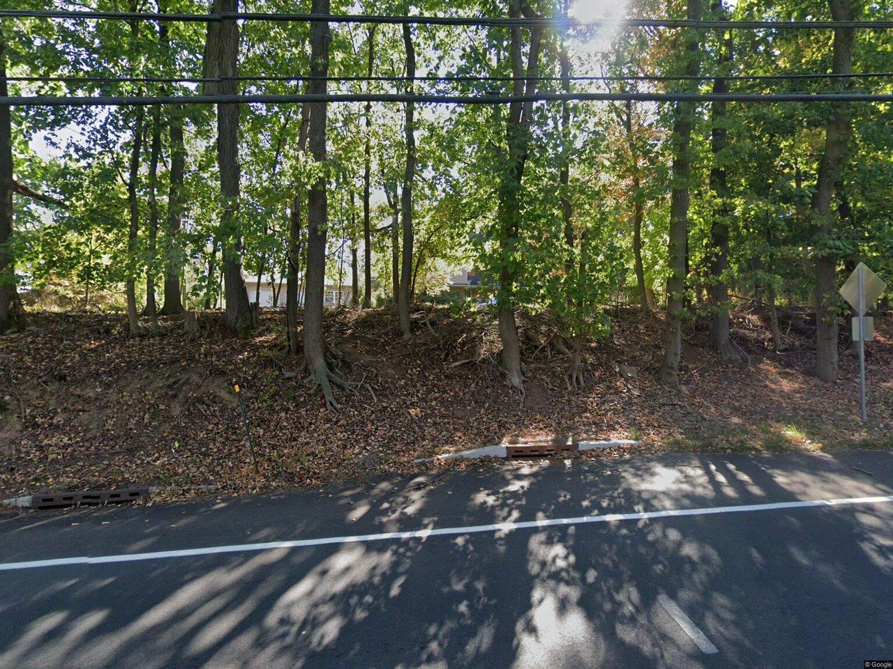 167 Rosemont Ringoes Rd