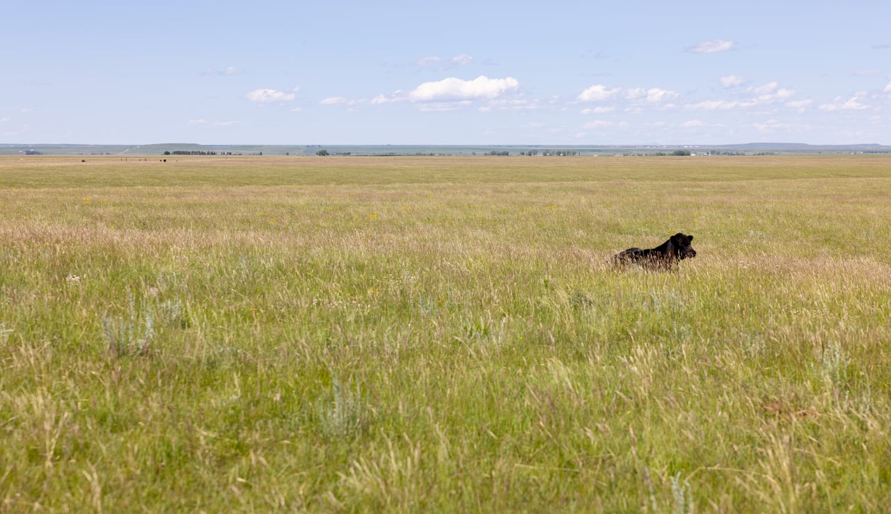 Hauck Coulee Ranch