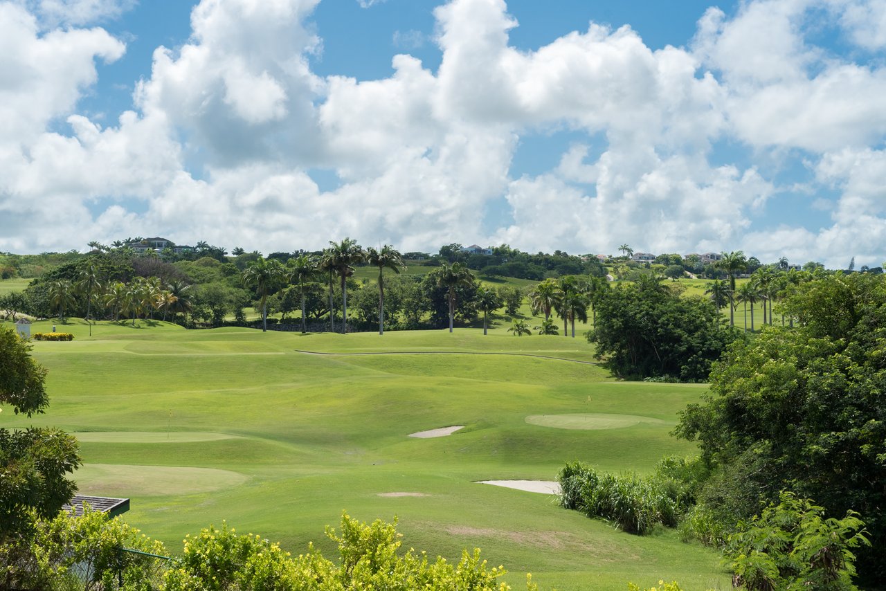Sugar Cane Ridge 23