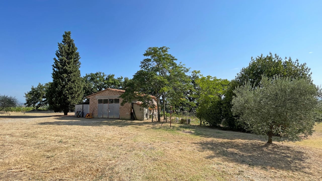 AZIENDA VITIVINICOLA ASCIANELLO