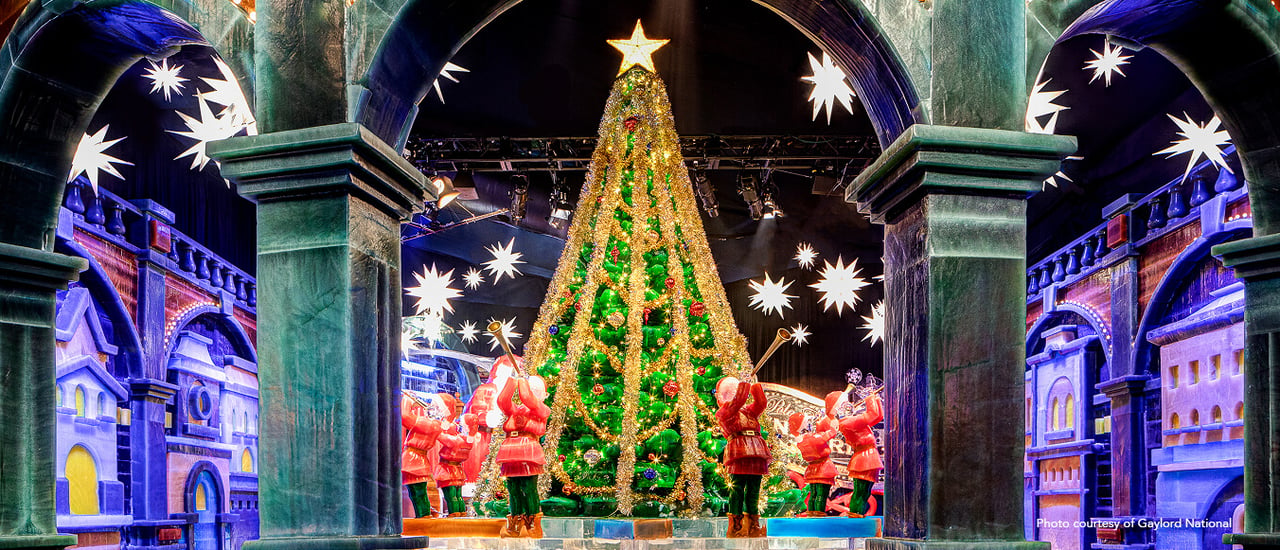 Top Things To Do in December in the DMV & WV Area