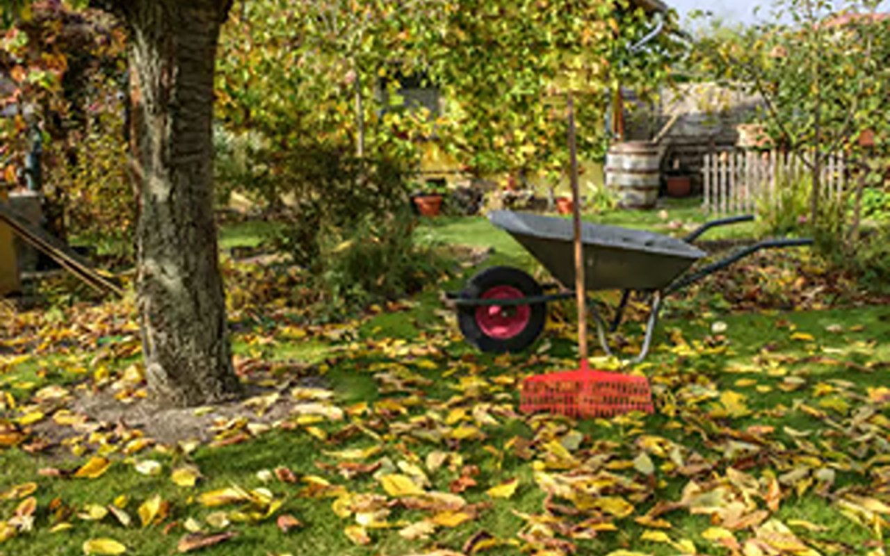 5 Tips for Prepping a Lawn for the Winter