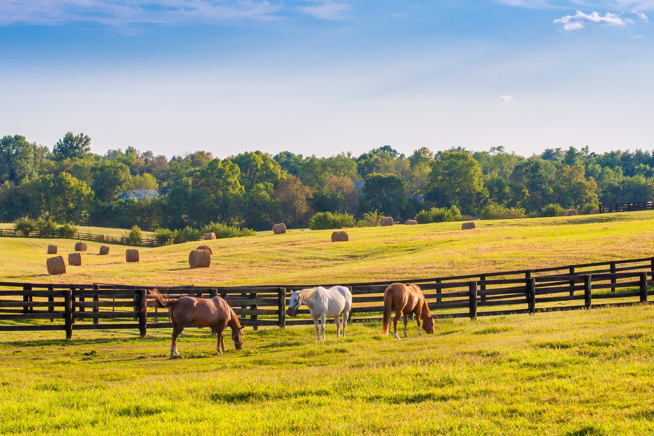 Small Ranch Estates in Bixby, Oklahoma | Linda Smalley