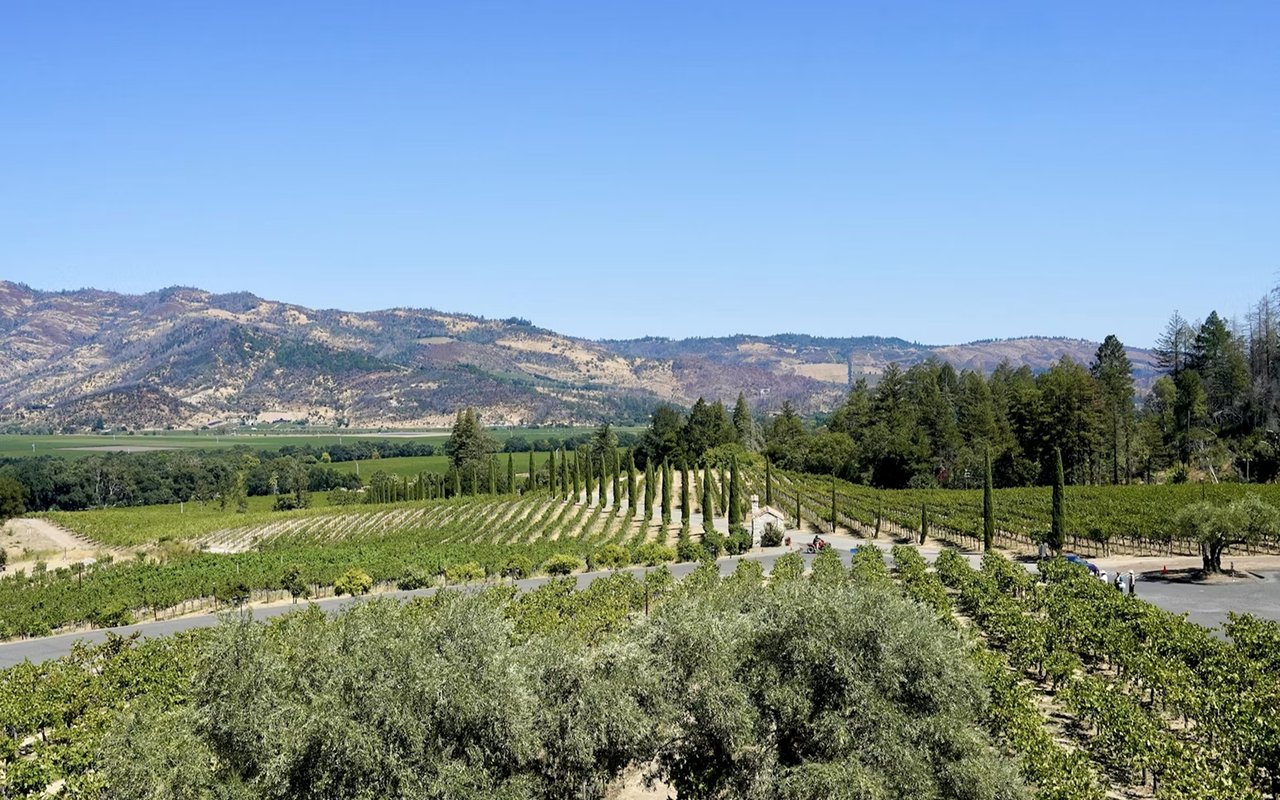 Calistoga Real Estate: A Guide to Napa Valley's Hot Springs Town