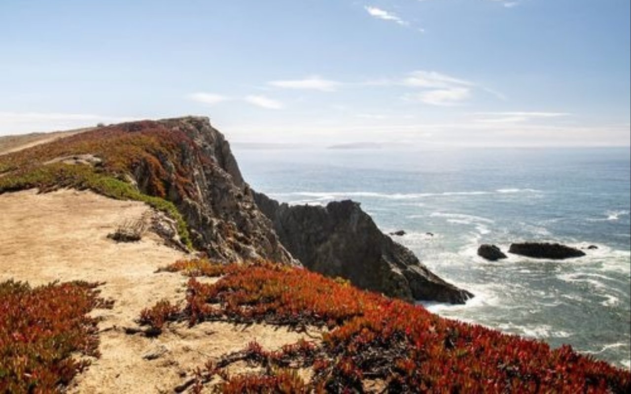 Bodega Bay