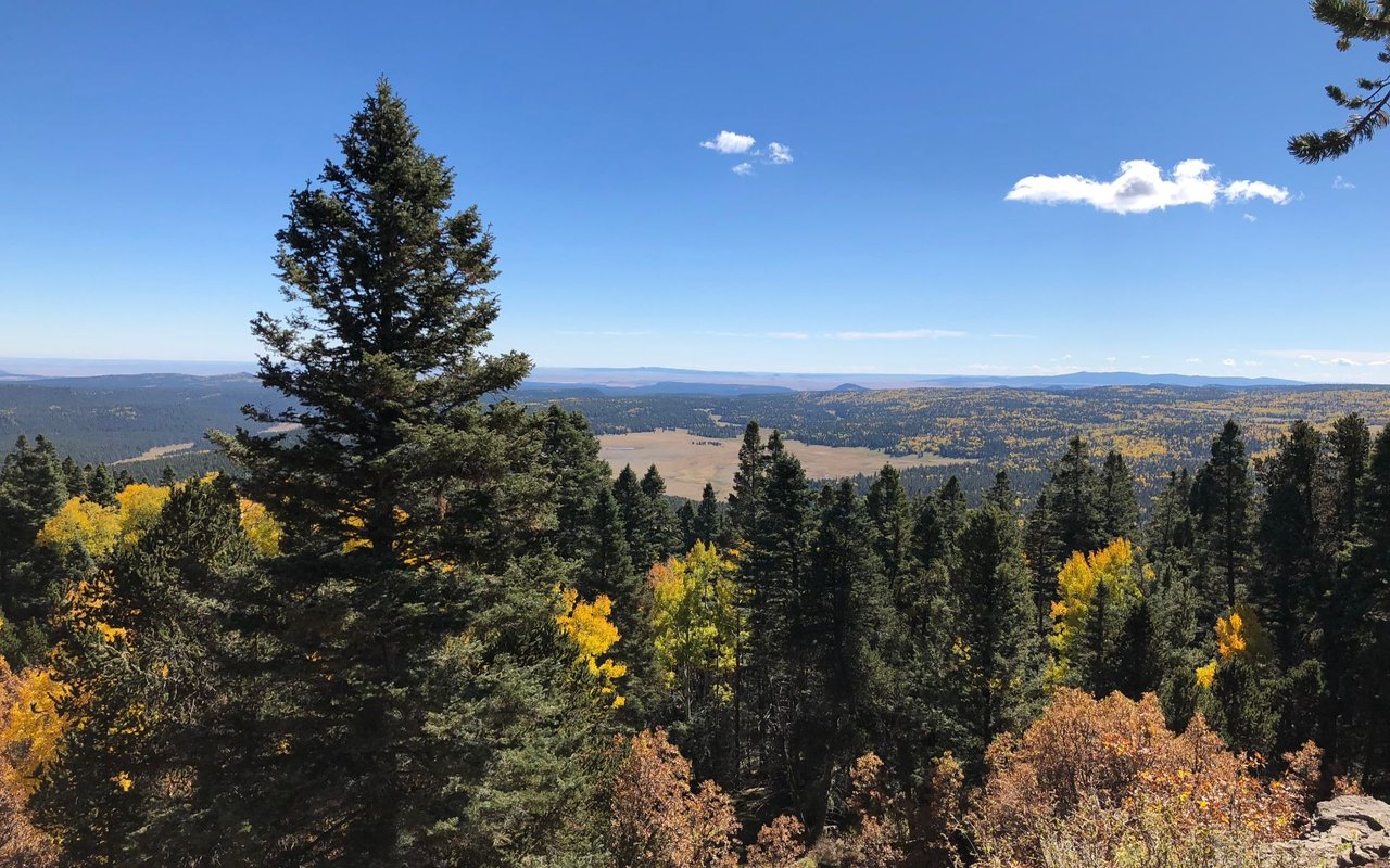 Mora County