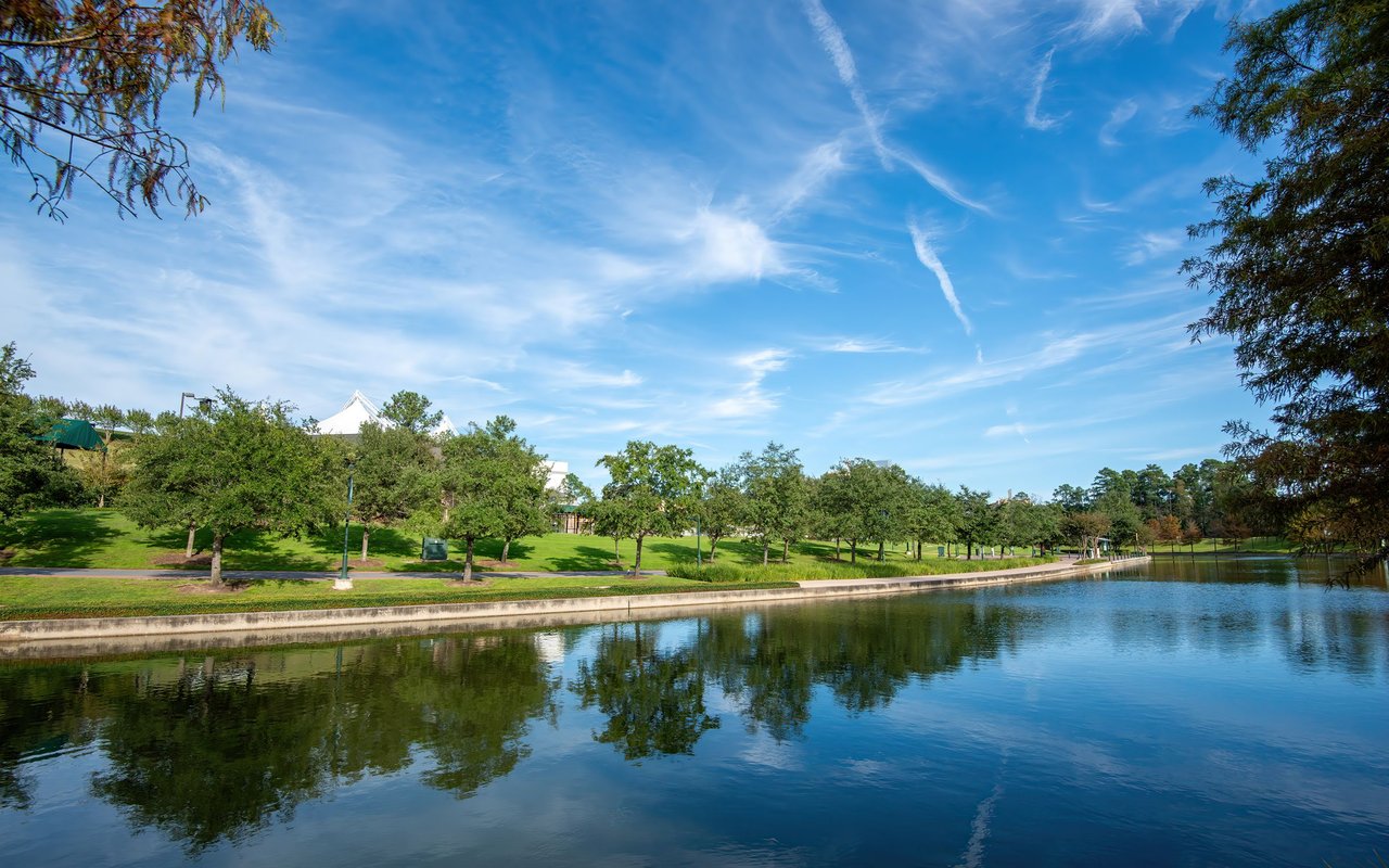 The Woodlands