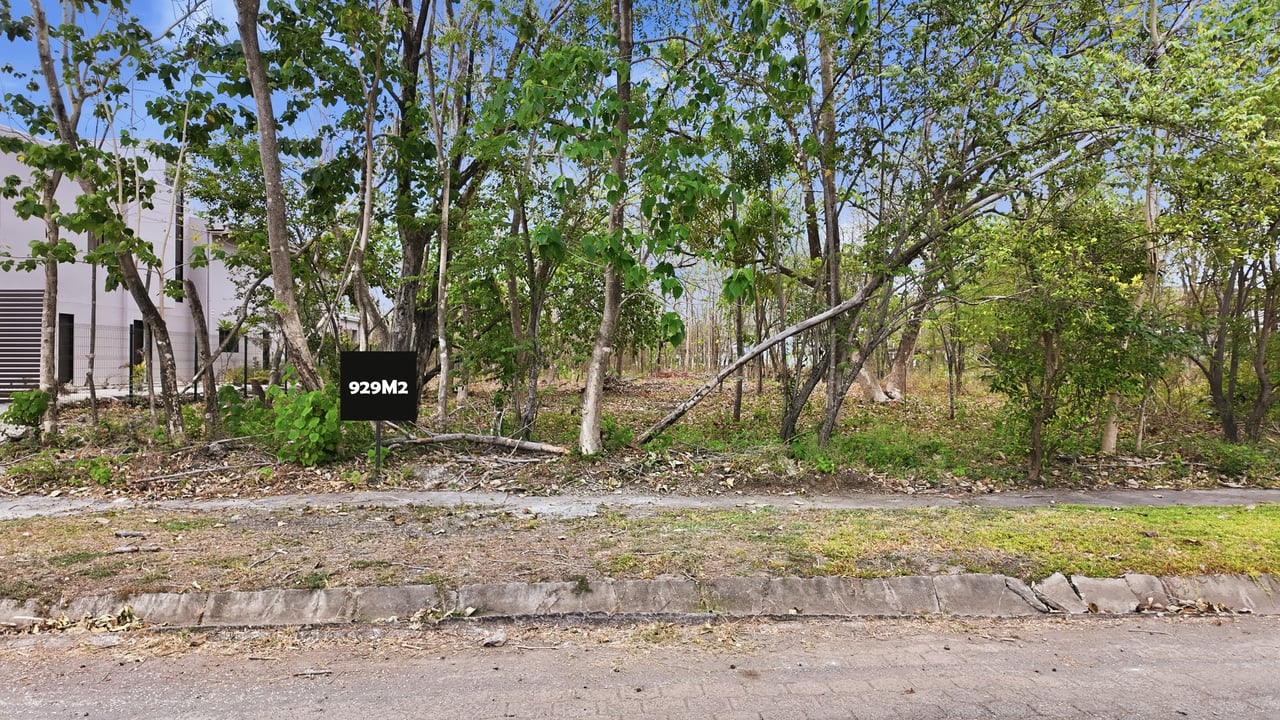 FLAMINGO BEACH LOT FOR SALE 