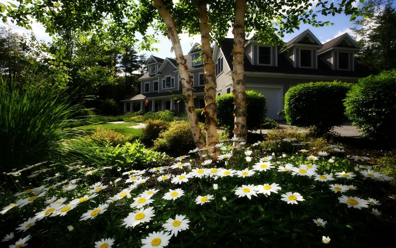 9 Ideas for Freshening Up Your Home's Curb Appeal