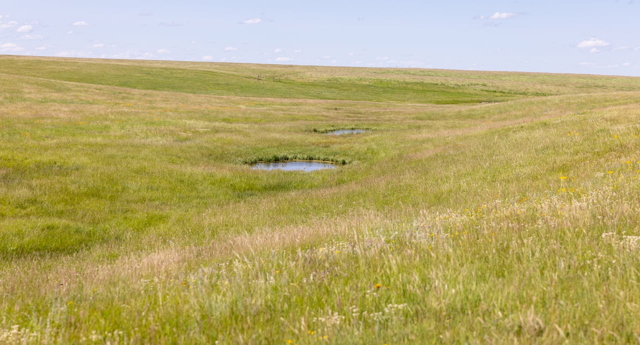 Hauck Coulee Ranch